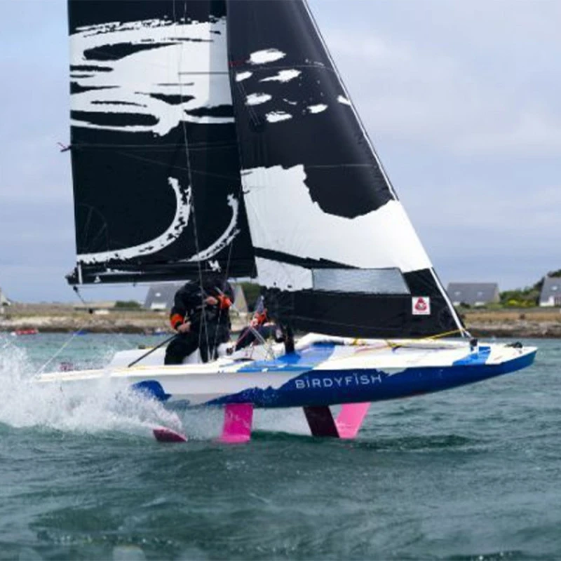 Birdyfish Fun - Dériveur à Foil 3 Birdyfish Fun - Dériveur à Foil