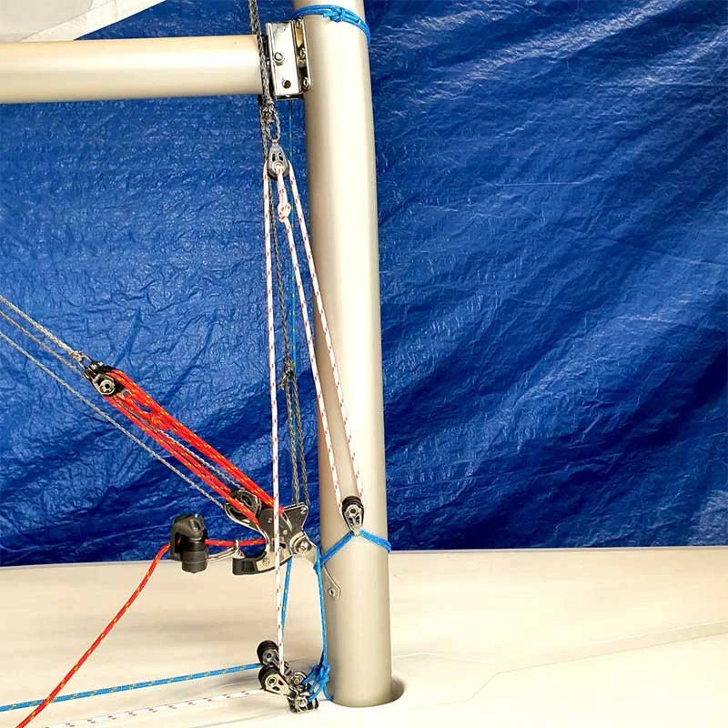 Bordure Cunningham Allen Pour Laser 4 Bordure Cunningham Allen Pour Laser – Image 2