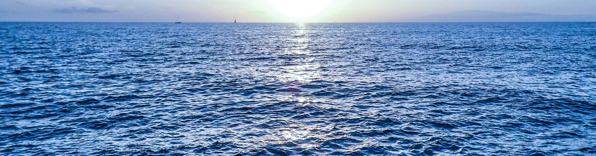 Néoprènes Soldes Boutique -Néoprènes Soldes Boutique Report listing masthead ocean 1903 by 500